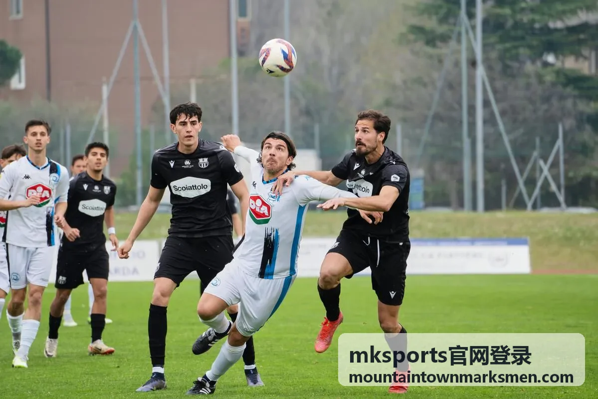 mksports官网登录会员等级与权益核对示意