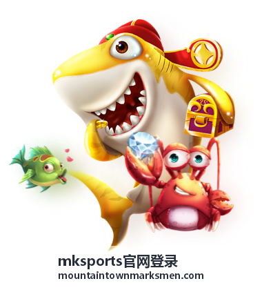 mksports官网登录数据报表导出内容封面